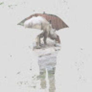 Meet your Posher, Kay